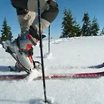 Grundnerhof