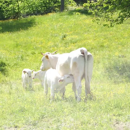 Farm stay Grundnerhof