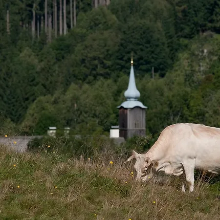 Farm stay Grundnerhof Arriach