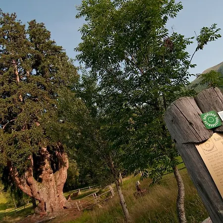 Grundnerhof Arriach