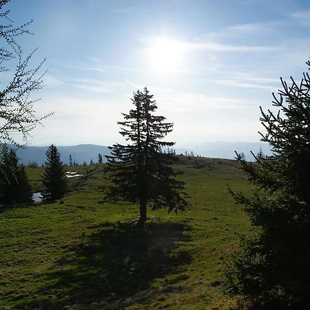 Farm stay Grundnerhof *