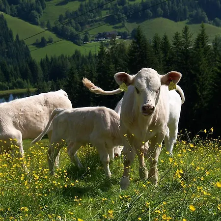 Bauernhof Grundnerhof Arriach