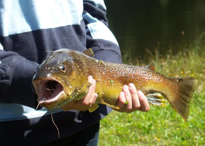 Grundnerhof Séjour à la ferme