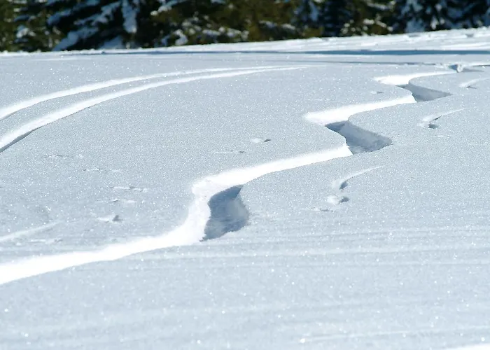 Séjour à la ferme Grundnerhof Arriach