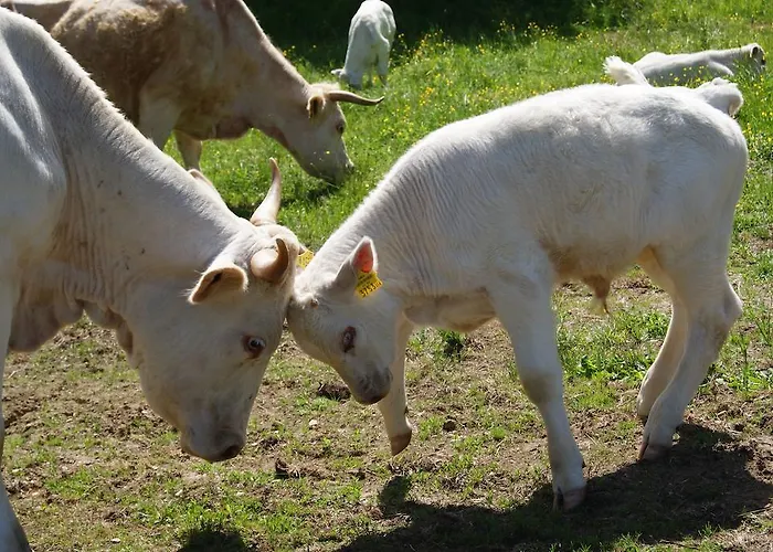 Séjour à la ferme Grundnerhof