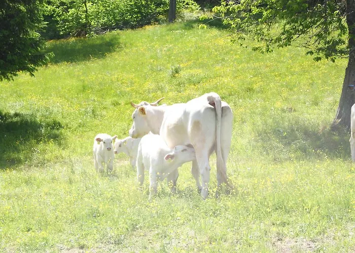 Séjour à la ferme Grundnerhof