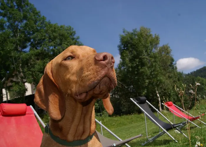 Séjour à la ferme Grundnerhof Arriach
