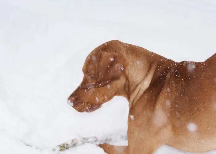 Séjour à la ferme Grundnerhof