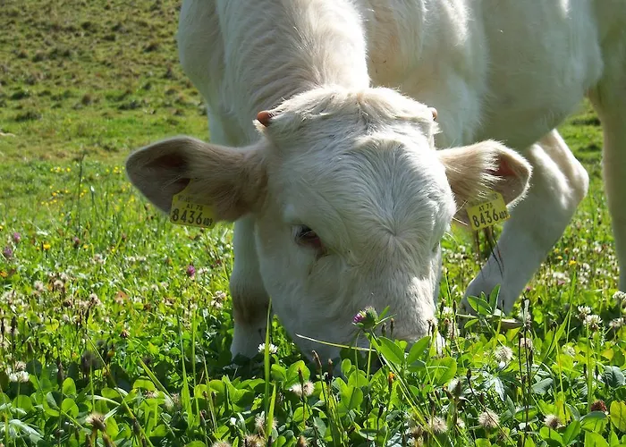 Séjour à la ferme Grundnerhof *