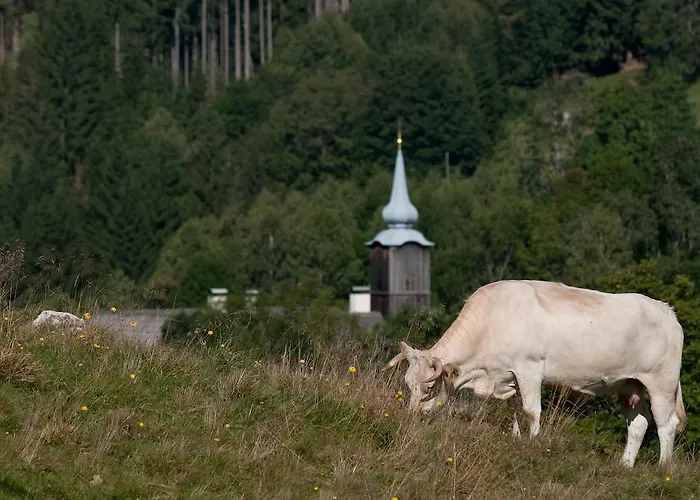 Séjour à la ferme Grundnerhof Arriach