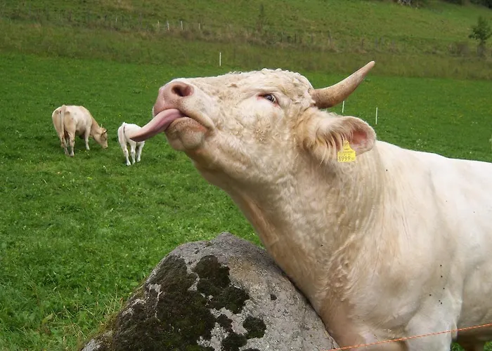 Séjour à la ferme Grundnerhof