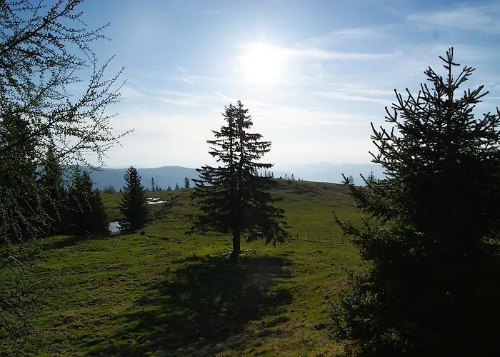 Séjour à la ferme Grundnerhof *