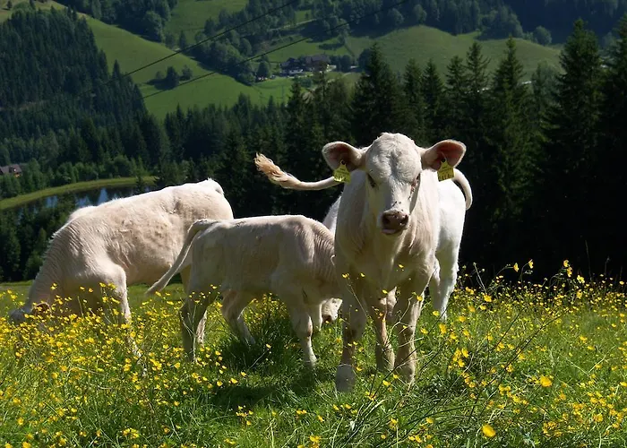 Séjour à la ferme Grundnerhof Arriach